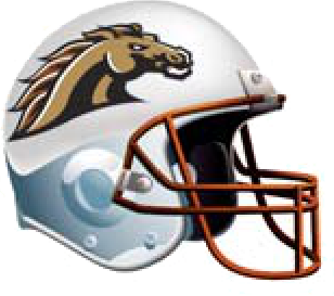 WESTERN MICHIGAN BRONCOS